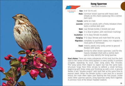 Birds of Tennessee Field Guide - Image 4