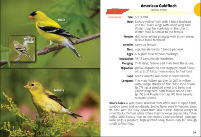 Birds of Tennessee Field Guide - Image 5