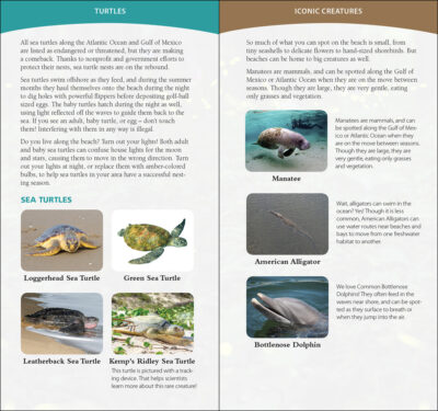 Coastal Life of the Atlantic and Gulf Coasts - Image 3