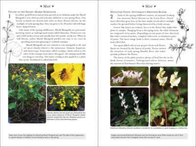 365 Days of Northern Nature - Image 2