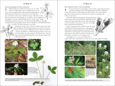 365 Days of Northern Nature - Image 3