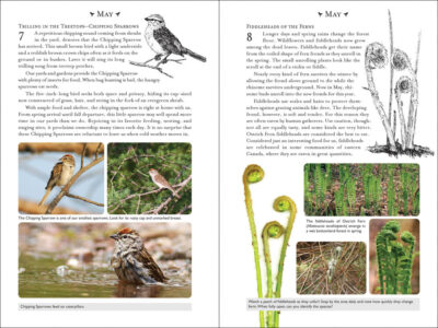 365 Days of Northern Nature - Image 4