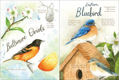 Drawn to Birds - Image 3