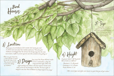 Drawn to Birds - Image 6