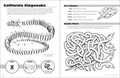 Animals & Skeletons Activity Book - Image 4