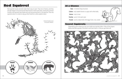 Animals & Skeletons Activity Book - Image 5