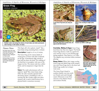 Amphibians & Reptiles of Minnesota, Wisconsin & Michigan - Image 3