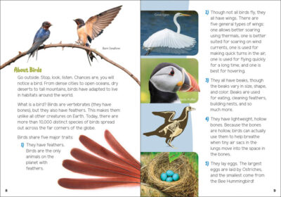 Backyard Birding for Kids - Image 2