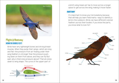 Backyard Birding for Kids - Image 3