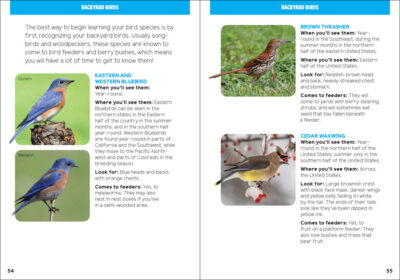 Backyard Birding for Kids - Image 5