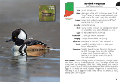 Birds of Indiana Field Guide - Image 2