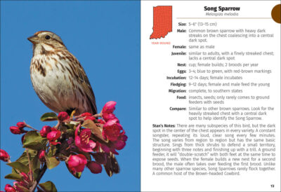 Birds of Indiana Field Guide - Image 4