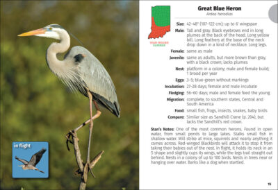 Birds of Indiana Field Guide - Image 5