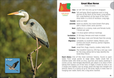 Birds of Oregon Field Guide - Image 4