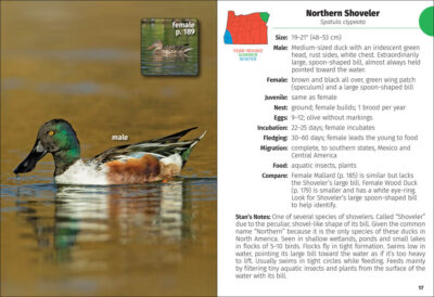 Birds of Oregon Field Guide - Image 5