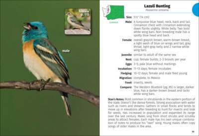 Birds of Washington Field Guide - Image 2