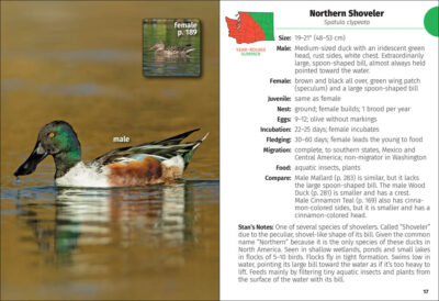 Birds of Washington Field Guide - Image 5