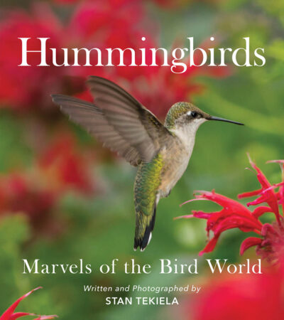 Hummingbirds