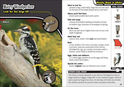 The Kids' Guide to Birds of Missouri - Image 2