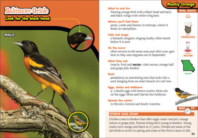 The Kids' Guide to Birds of Missouri - Image 5