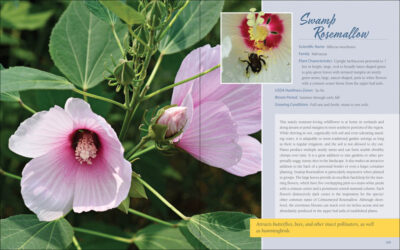 Native Plant Gardening for Birds, Bees & Butterflies: Northeast - Image 3