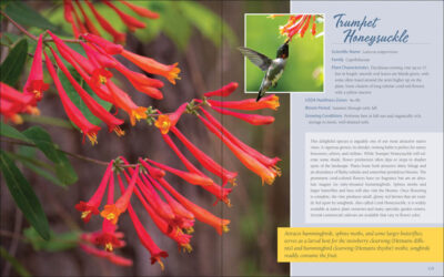 Native Plant Gardening for Birds, Bees & Butterflies: Northeast - Image 4
