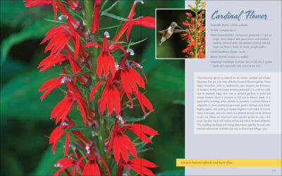 Native Plant Gardening for Birds, Bees & Butterflies: Northeast - Image 5