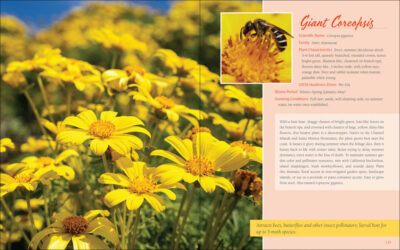 Native Plant Gardening for Birds, Bees & Butterflies: Northern California - Image 2