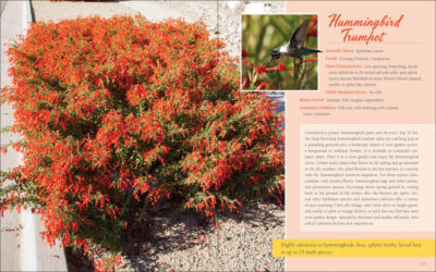 Native Plant Gardening for Birds, Bees & Butterflies: Northern California - Image 3