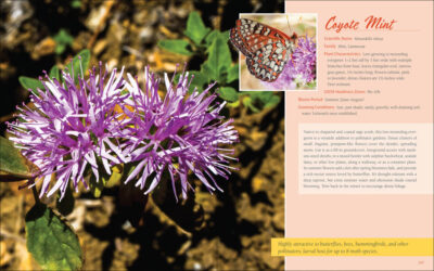 Native Plant Gardening for Birds, Bees & Butterflies: Northern California - Image 4