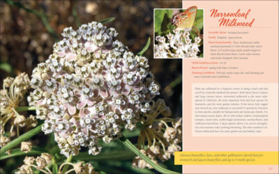 Native Plant Gardening for Birds, Bees & Butterflies: Northern California - Image 5