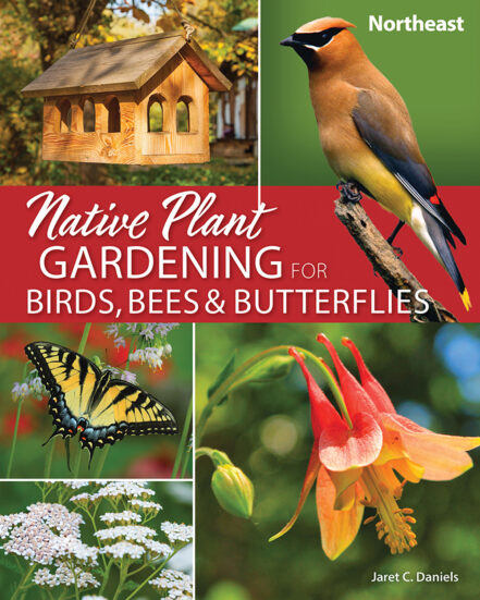 Native Plant Gardening for Birds, Bees & Butterflies: Northeast ...