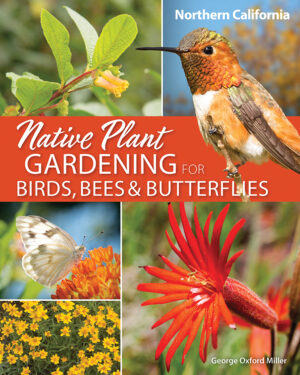 Native Plant Gardening for Birds, Bees & Butterflies: Northern ...