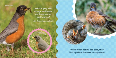 Nature Baby: Birds - Image 2