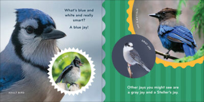 Nature Baby: Birds - Image 3