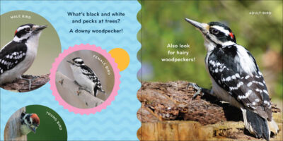 Nature Baby: Birds - Image 5
