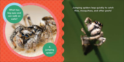 Nature Baby: Bugs - Image 4