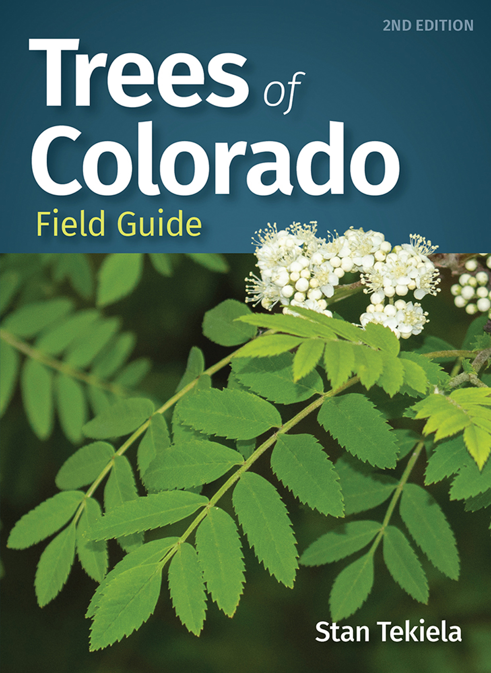 Trees of Colorado Field Guide - AdventureKEEN Shop