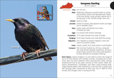 Birds of Kentucky Field Guide - Image 2