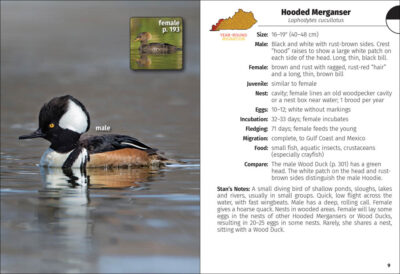 Birds of Kentucky Field Guide - Image 3