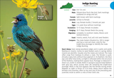 Birds of Kentucky Field Guide - Image 4