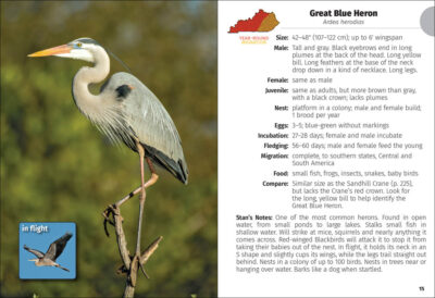 Birds of Kentucky Field Guide - Image 5