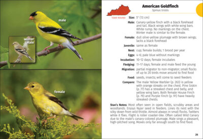 Birds of Kentucky Field Guide - Image 6