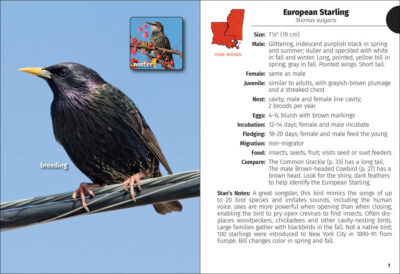 Birds of Louisiana and Mississippi Field Guide - Image 2