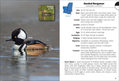 Birds of Louisiana and Mississippi Field Guide - Image 3