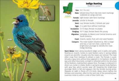 Birds of Louisiana and Mississippi Field Guide - Image 4