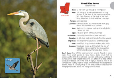 Birds of Louisiana and Mississippi Field Guide - Image 5