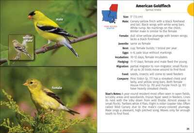 Birds of Louisiana and Mississippi Field Guide - Image 6