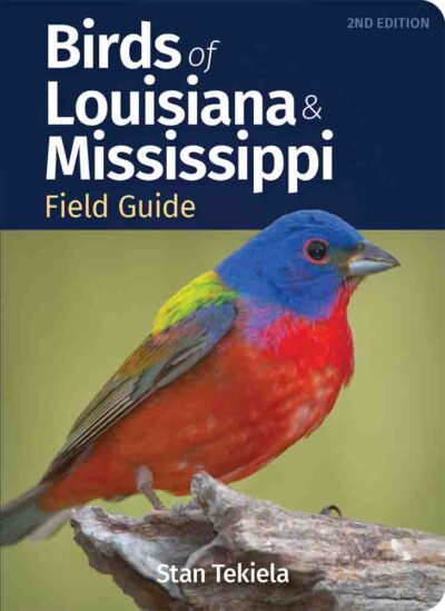 Birds of Louisiana and Mississippi Field Guide