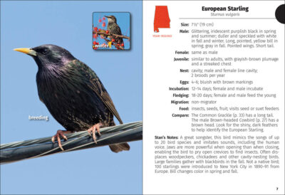 Birds of Alabama Field Guide - Image 2
